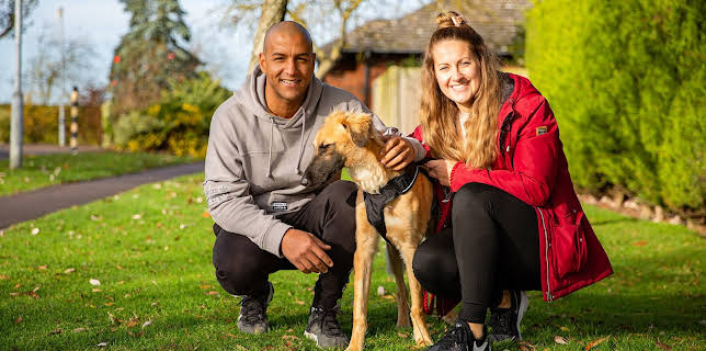 7:55 PM: The Dog House | More 4 | 1/25 2026