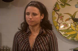 The New Adventures of Old Christine: The Complete First Season: Some of My Best Friends are Portuguese