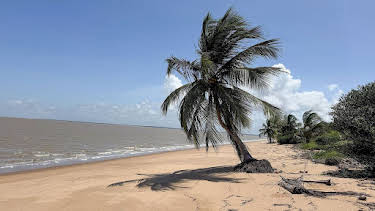 17:50: Abenteuer Suriname | Arte | 11/2 2026