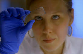 The Evolution of Us: Where Are We Going?