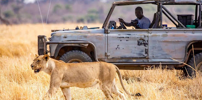 6:55 PM: Kingdom (S1) | BBC One Scotland | 12/14 2025