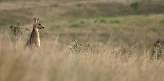 05:05: Medizin in fernen Ländern | Arte | 11/26 2025