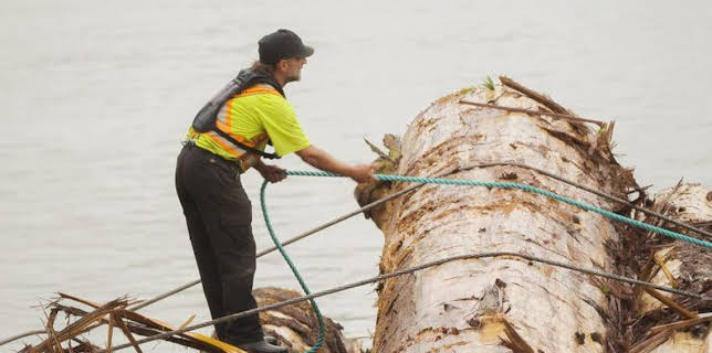 3:00 PM: The Last Woodsmen (S1) | Discovery Channel | 3/14 2026