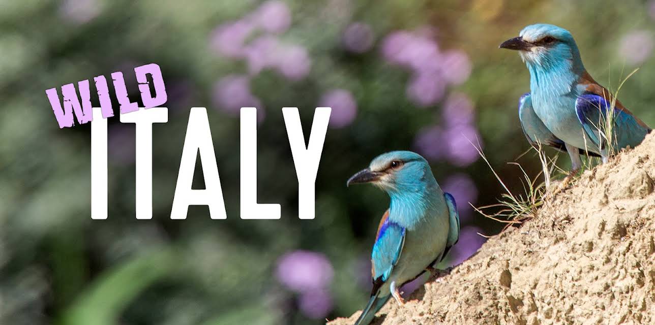 Wild Italy