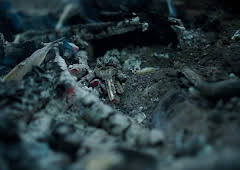 The Truth About My Murder