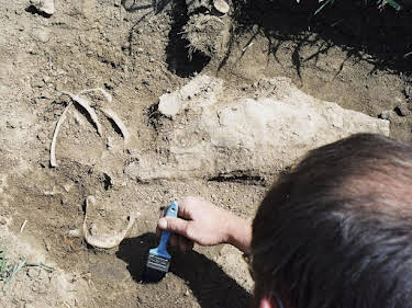 21:55: Verscharrt & vergraben - Mord verjährt nicht | Kabel Eins Doku | 4/23 2026