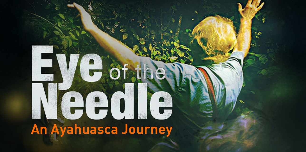 Eye of the Needle: An Ayahuasca Journey (2013)