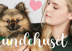 Hundehuset: Sammy
