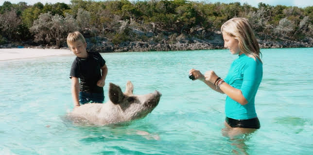 18:15: Flaskepost fra havet: Ukjent farvann | NRK Tegnspraak | 1/30 2026