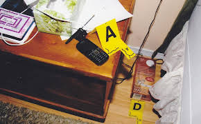 Medical Detectives - Geheimnisse der Gerichtsmedizin