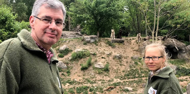 17:10: Seelöwe & Co. - tierisch beliebt (8) | NDR Fernsehen | 1/12 2026