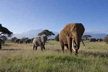 02:50: Kielings wilde Welt (3/3) | 3SAT | 4/20 2026