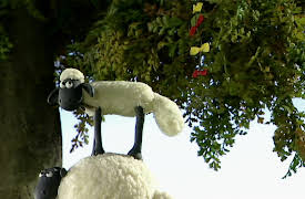 Shaun the Sheep Series 1: The Kite