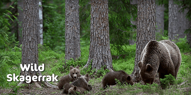 Wild  Skagerrak (2016)