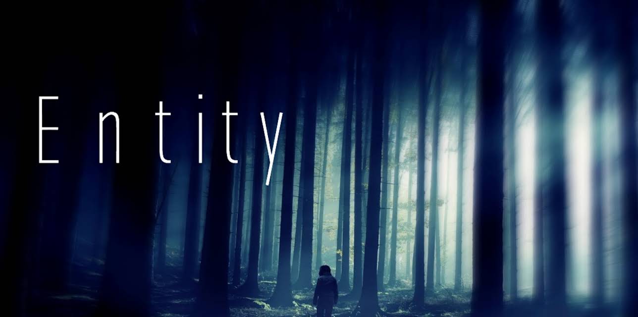 Entity (2013)