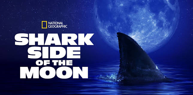 Shark Side of the Moon (2022)
