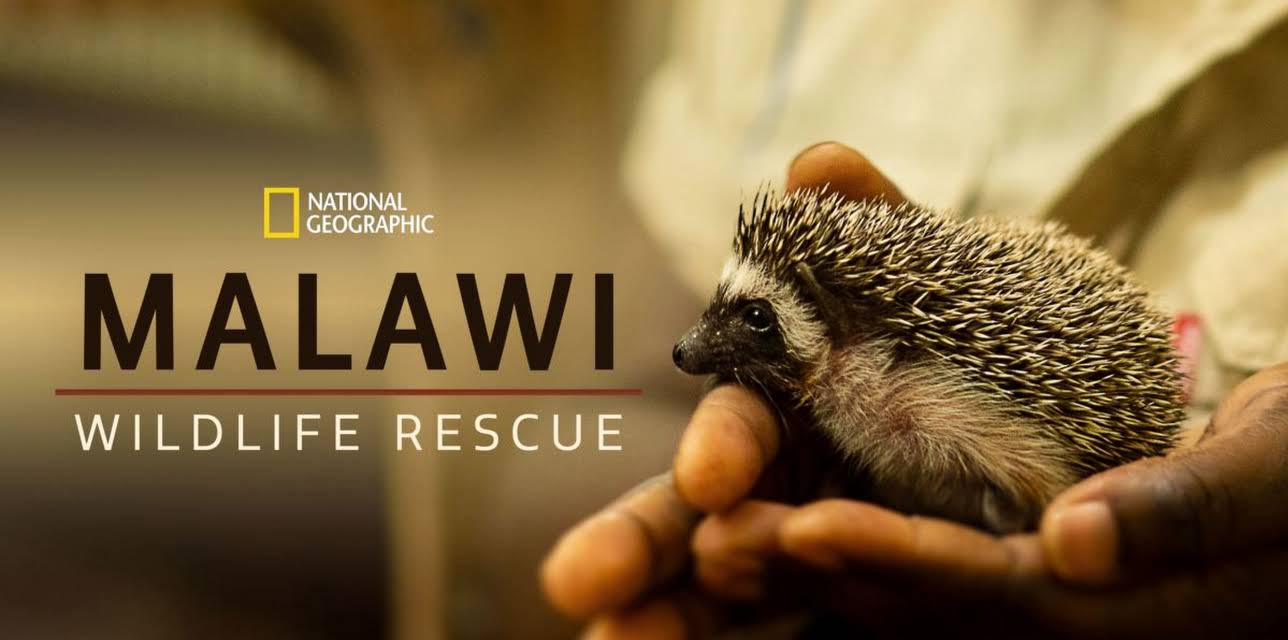 Malawi Wildlife Rescue