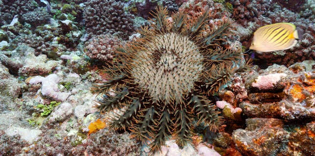 18:35: Oasen - Inseln des Lebens | Arte | 2/9 2026