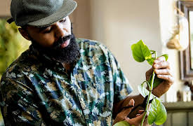 Magnolia Workshops: Preservation