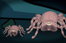 I'm a Creepy Crawly: Tarantula