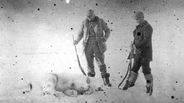 23:10: Gestrandet im ewigen Eis | Arte | 4/28 2026