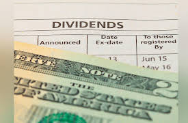 Understanding Investments: Why Should You Care about Dividends?