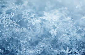 I Contain Multitudes: Microbe Minute, Season 1: Snowflake