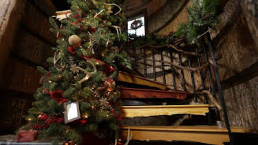9:00 AM: Treehouse Masters (S4) | Discovery Channel | 9/3 2026
