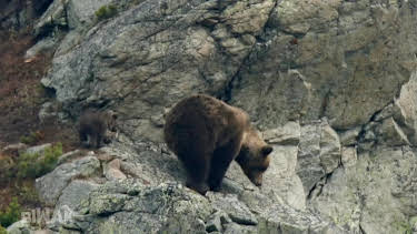 19:50: Biwak - Abenteuer Tatra | MDR Fernsehen | 6/29 2026