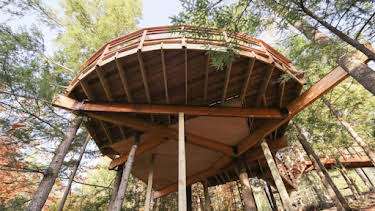 9:00 AM: Treehouse Masters (S3) | Discovery Channel | 8/28 2026