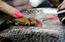 Unpolished Season 1: Through Thick and Thin