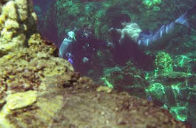 Mako Mermaids: An H2O Adventure: Episode 23