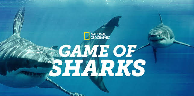 Game of Sharks (2022)