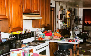 Inside FBI - Die härtesten Fälle