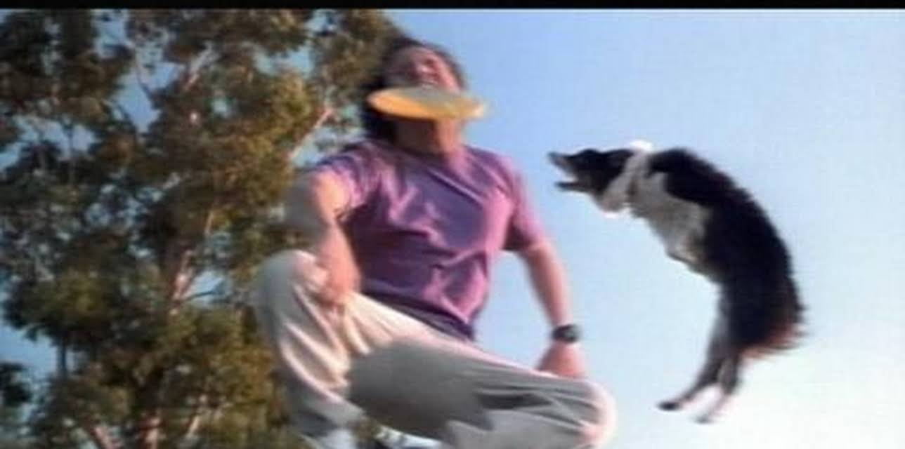 The Animal (2001)