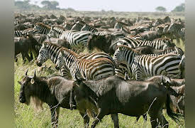 The World's Greatest Geological Wonders: 36 Spectacular Sites: African Rift Valley--Cracks into the Earth