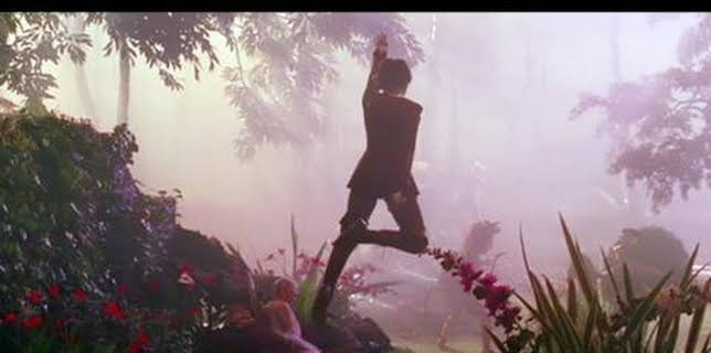 Finding Neverland (2004)