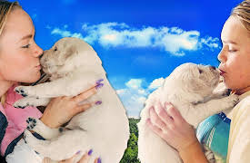 The Fun Squad: Puppy Controls Our Life for 24 Hours!