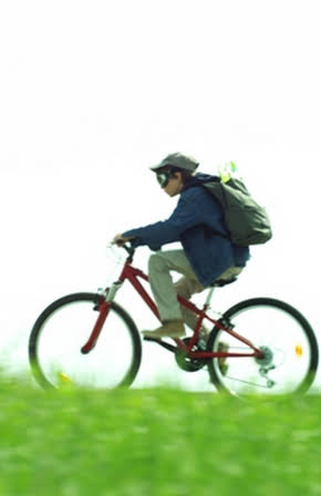 Max Baissette de Malglaive as 