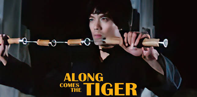 Along Comes The Tiger (2006)