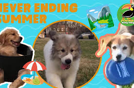 Animals Doing Things: Animals Doing Things | Never Ending Summer