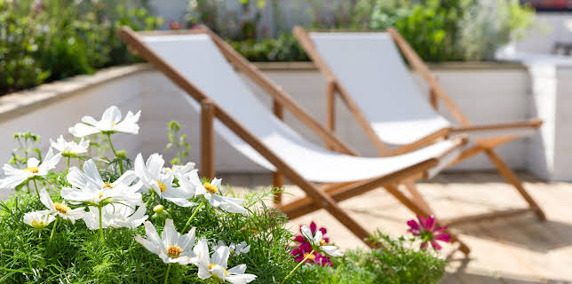 06:00: Tid for hage | TV 2 Livsstil | 11/14 2025