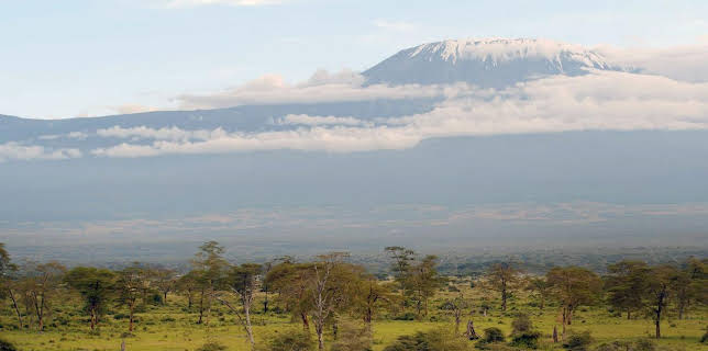 08:55: Afrika von oben | Arte | 11/5 2025