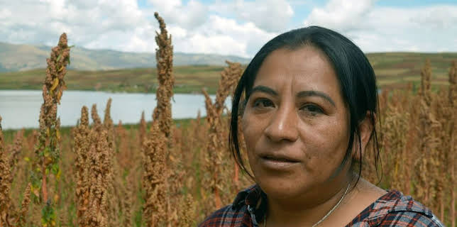 11:55: Küchen der Welt | Arte | 2/10 2026