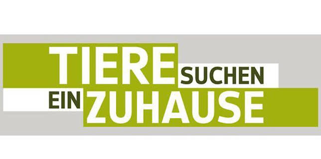 18:00: Tiere suchen ein Zuhause | WDR Fernsehen | 3/1 2026