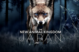 New Animal Kingdom: Japan: Season 1: Episode 1