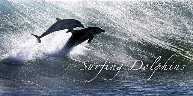 Surfing Dolphins (2010)