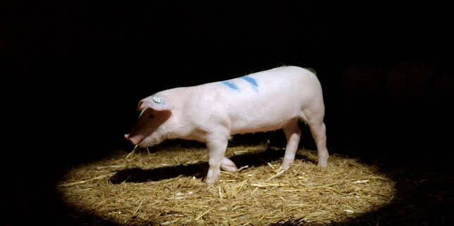 18:45: 42 - Die Antwort auf fast alles | ARD Alpha | 3/20 2026