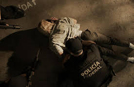 The Viking - Downfall of a Drug Lord S01: The Body on the Eel Farm