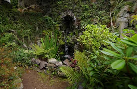 Garden of the Year: Scotland and Northern Ireland